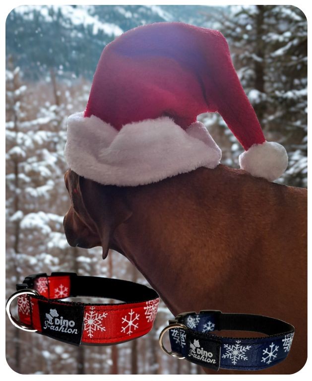 Vánoční obojky Dinofashion